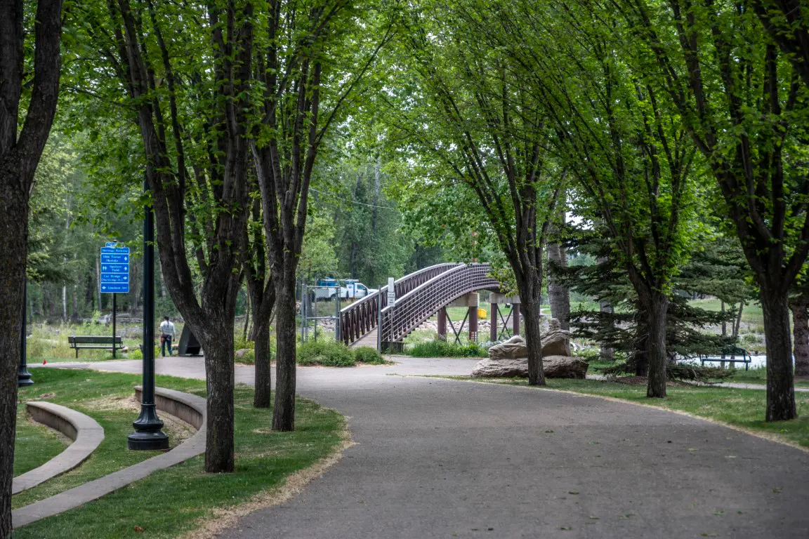 Homes in Okotoks